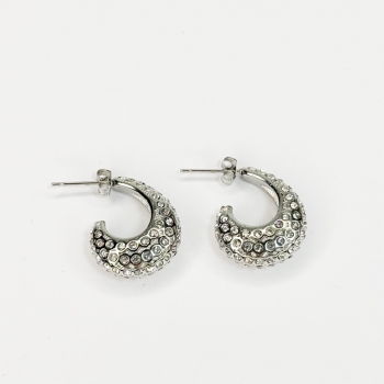 Earrings : SKS104A